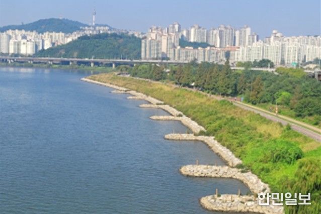 자연형 호안 복원(뚝섬한강공원)