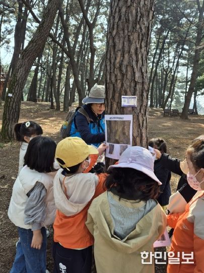 와글와글 움직이는 놀이터, 숲탐험대