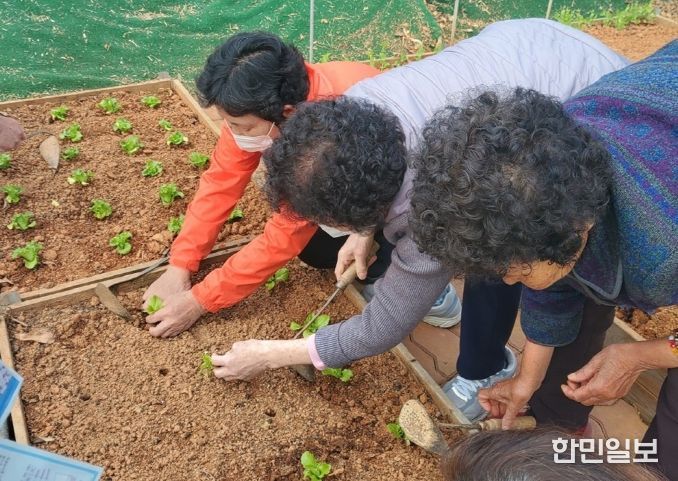 2026년 치유프로그램 운영