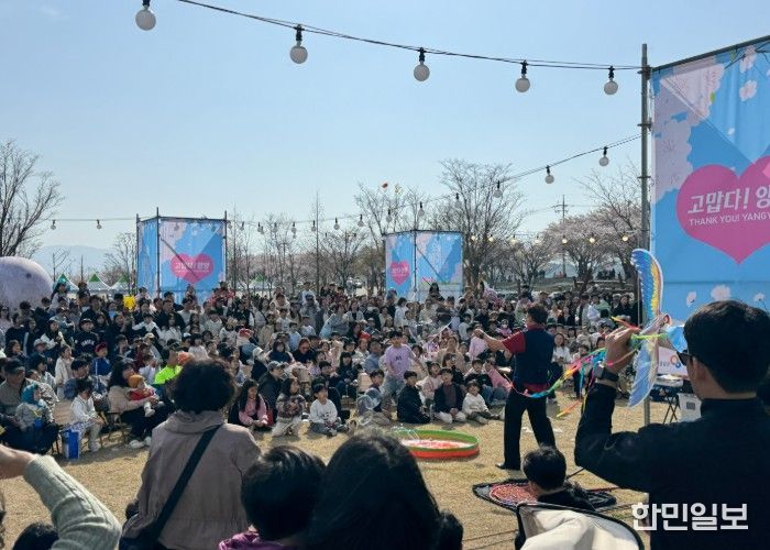 2026 양양 남대천 벚꽃축제