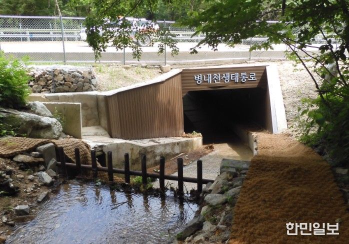 오대산 병내천 생태통로