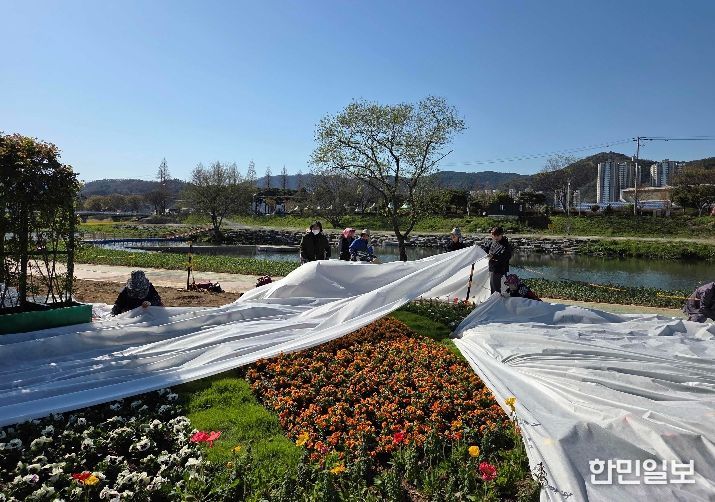 축제 대비 현장 관리 모습