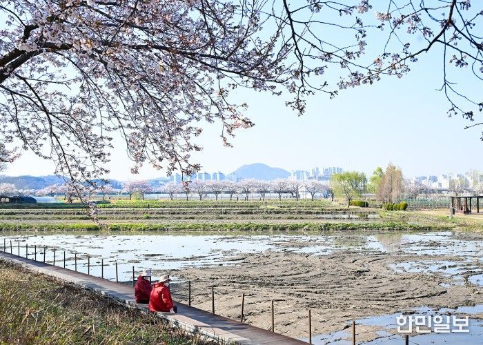 아름다운 우리 시흥시_연꽃테마파크