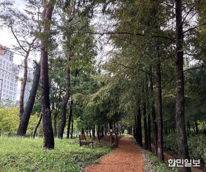 단절 녹지잇는 세종시 새롬동 둘레길, 마무리 단계