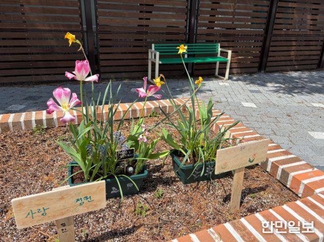 화분심기치유체험