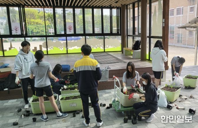 모종을 대형 화분에 옮겨 심는 학생들(화수중학교 생태환경동아리 활동)