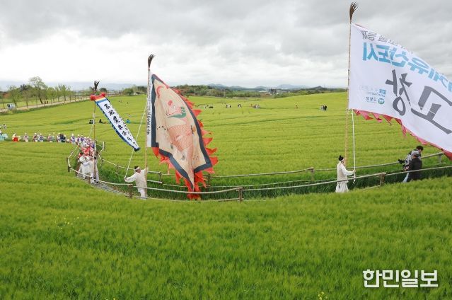 고창청보리밭축제