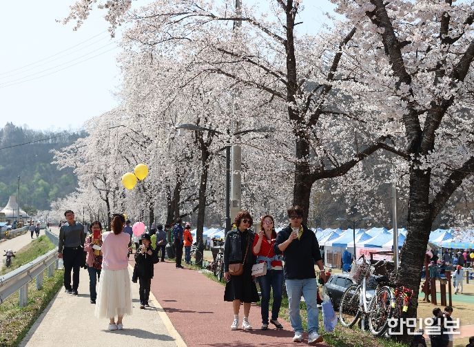의성군, ‘제4회 남대천 벚꽃축제’