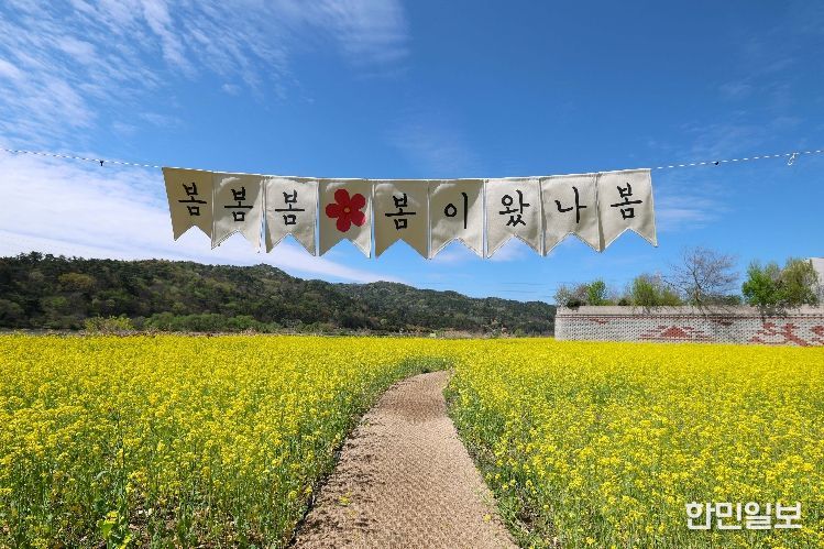 황룡강생태정원 꽃단지