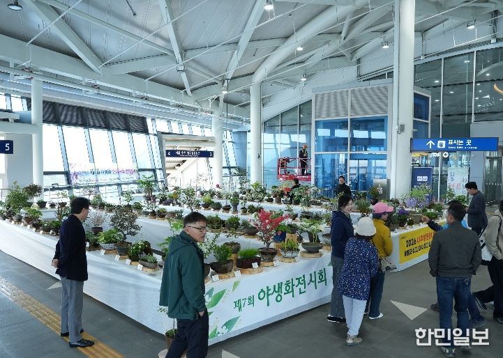 나주시와 나주시 야생화연구회가 지난 10일부터 12일까지 나주역에서 ‘제7회 야생화 전시회’를 진행했다.