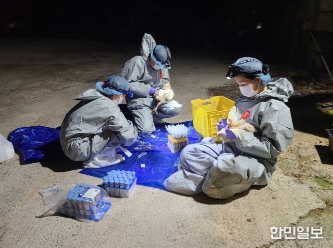 종계장 정밀검사