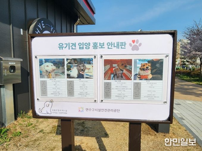 유기견 팻말
