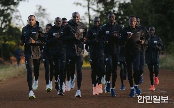 The dsm-firmenich Running Team